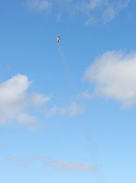 IMG 7441