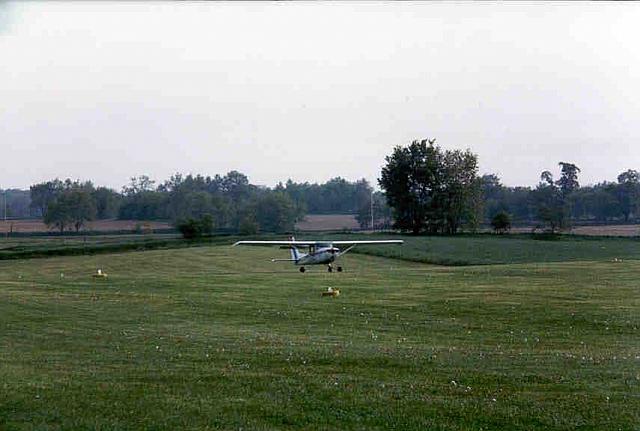 fly2-13.jpg