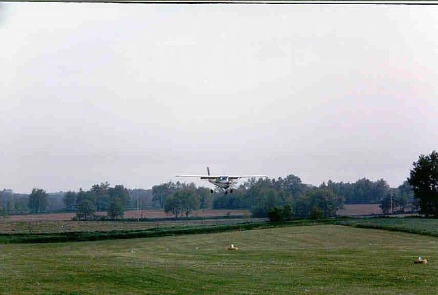 fly2-15.jpg