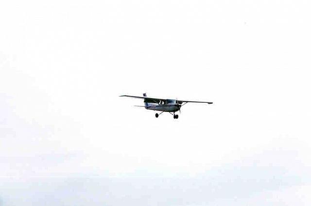 fly2-25.jpg