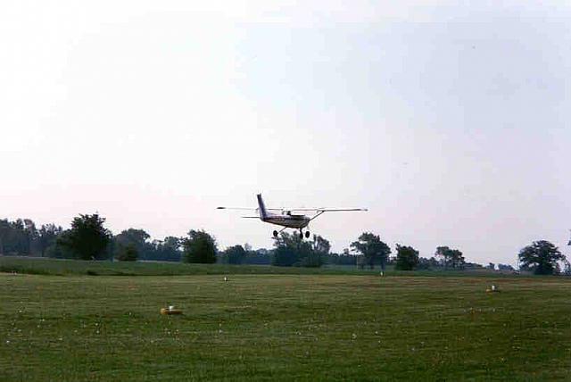 fly2-26.jpg
