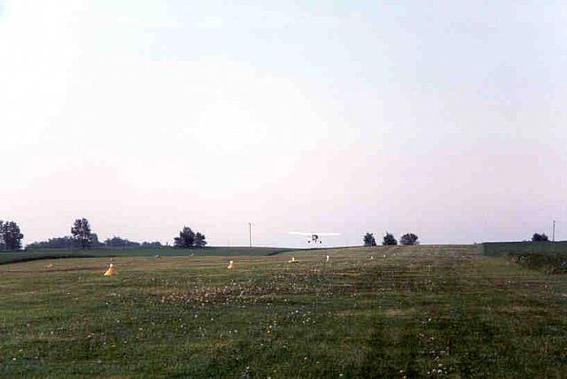 fly2-27.jpg