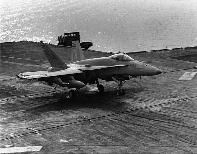HORNET-TRAP-3