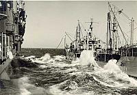 Med53_35
