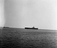 NEGS-003.jpg