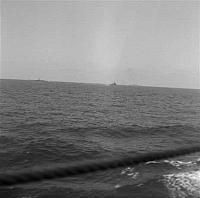 NEGS-037.jpg