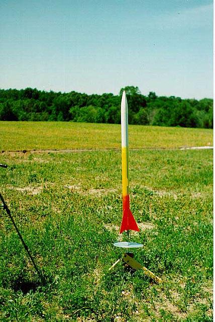 Buzz's THOY Sparrowhawk