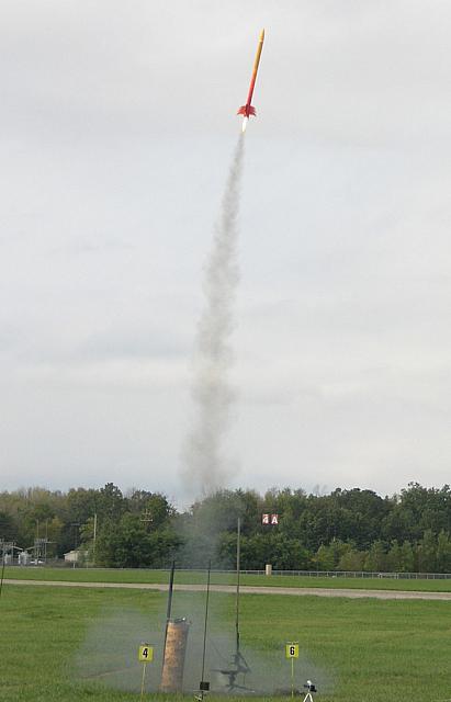 Jo-Anne Miller's Sideshow Bob on a SRS hybrid