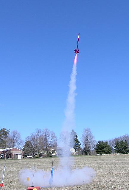 Tom's Plum Crazy on a J