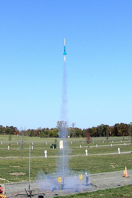 My Sparrowhawk on an Ellis G37