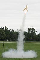 Mike Bear's large upscale Mosquito