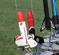 Two more of Steve's Gooneybirds