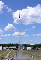 Sparrowhawk on an Ellis G37