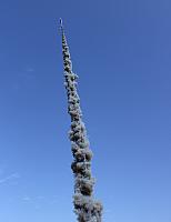 JMRC 23 September 2017